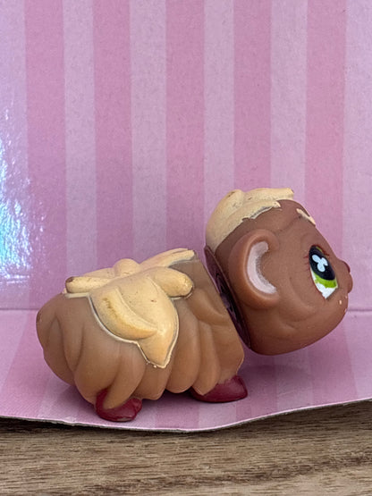 LPS Guinea Pig