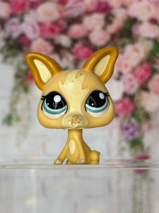 LPS Chihuahua #1656
