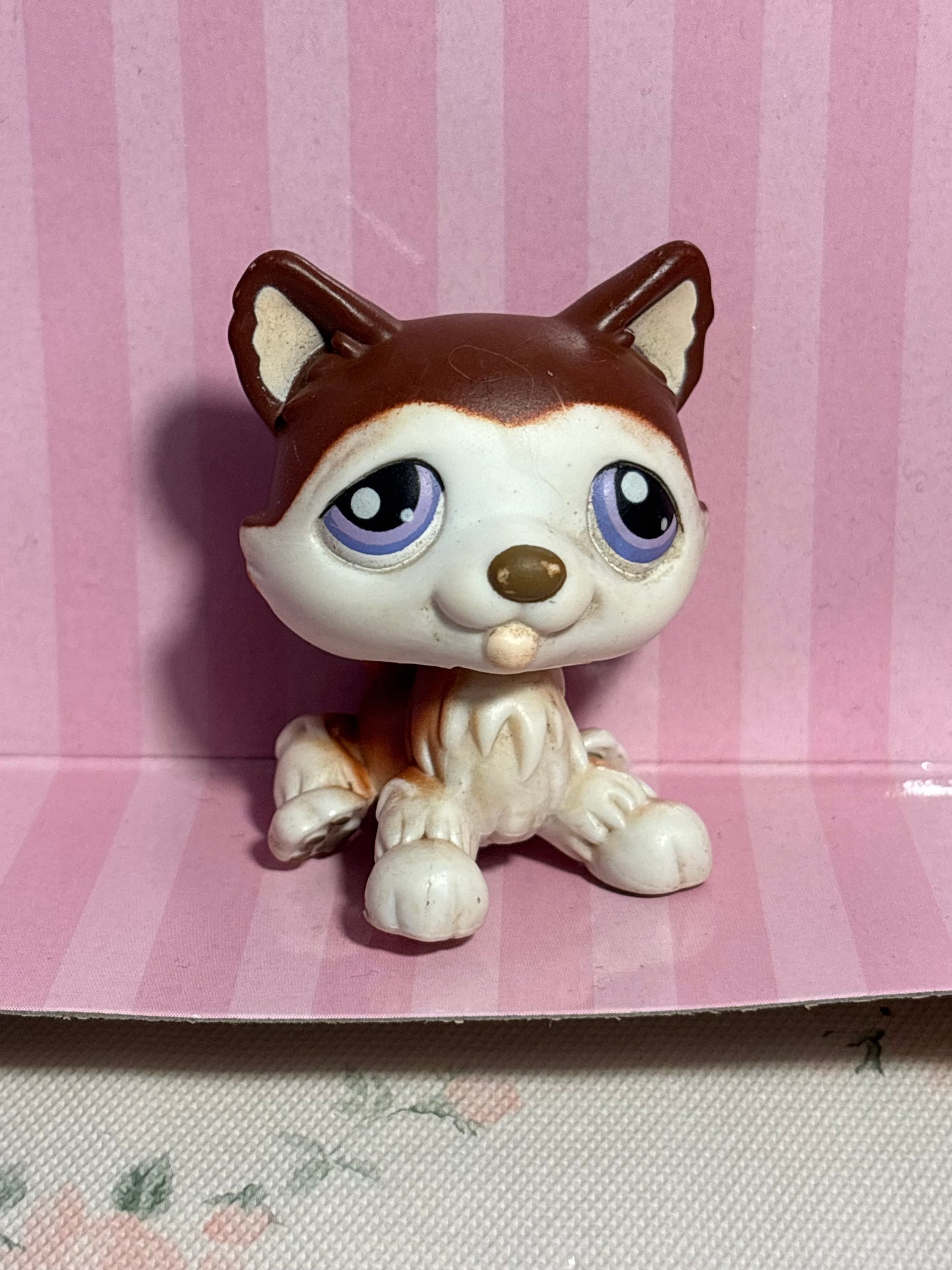LPS Husky #427