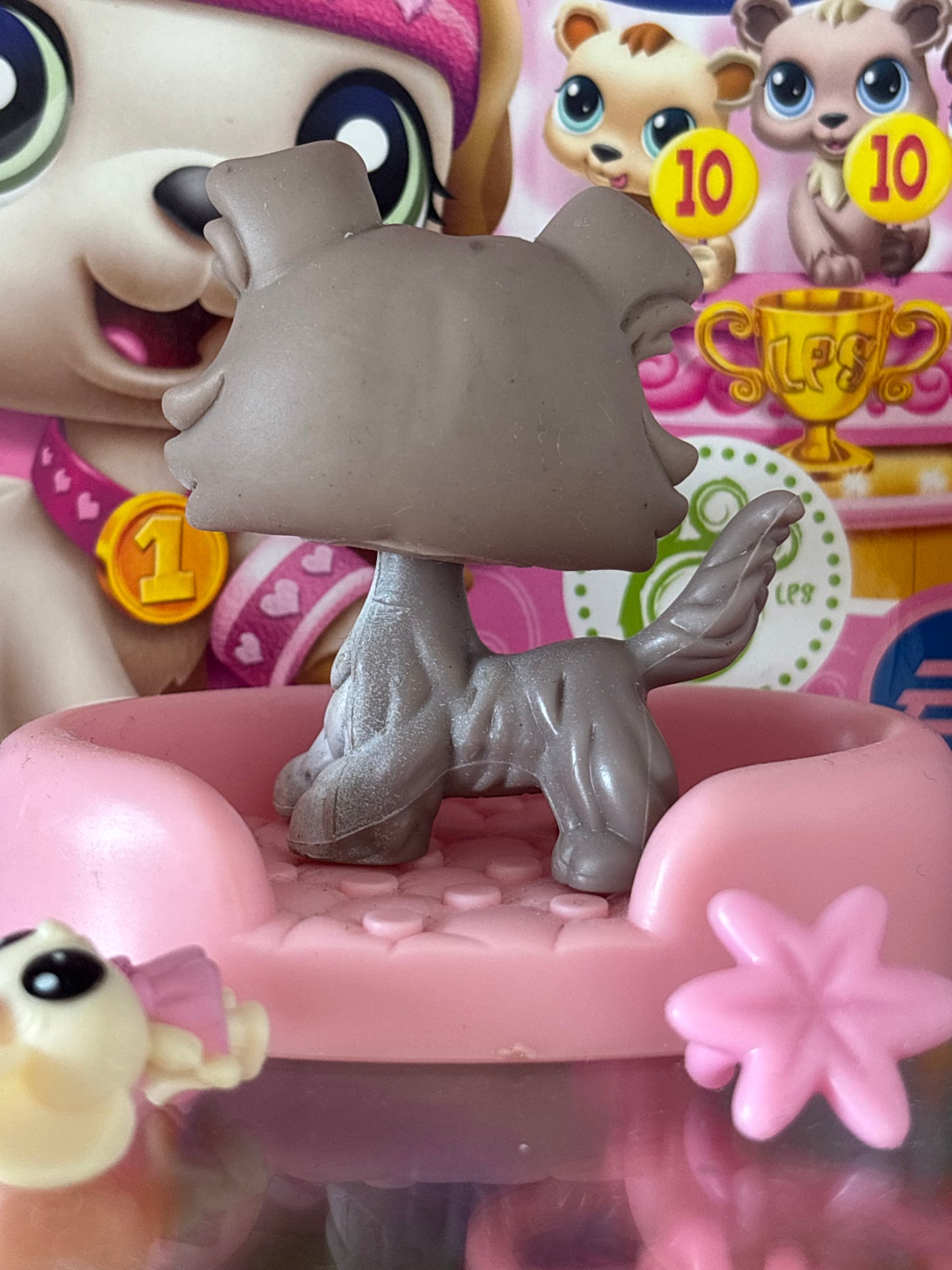 LPS Colley #67