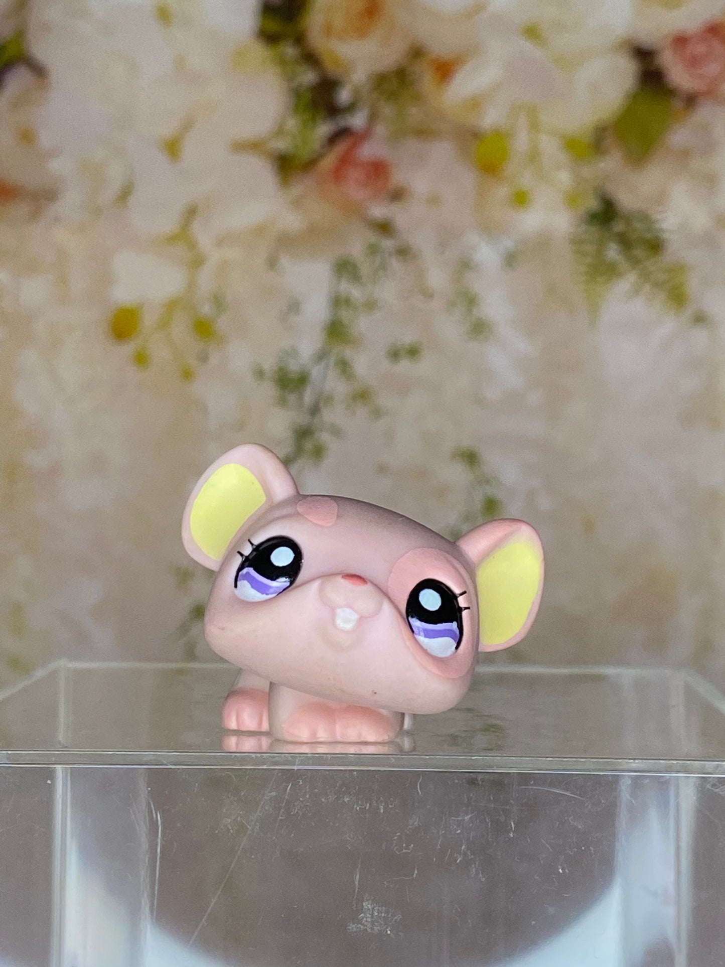 LPS Mouse #1202