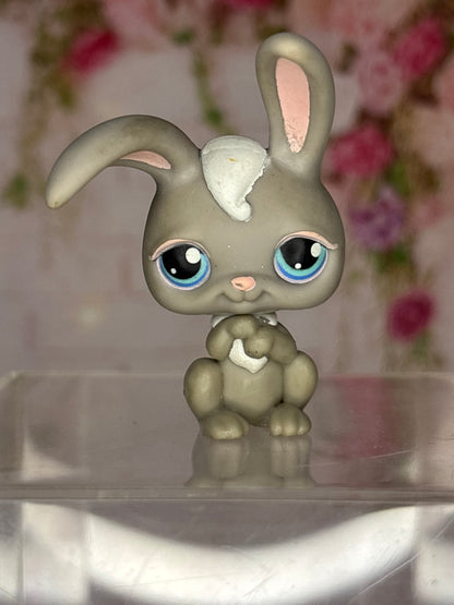 LPS Bunny