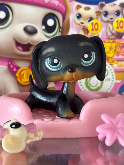 LPS Dachshund #325