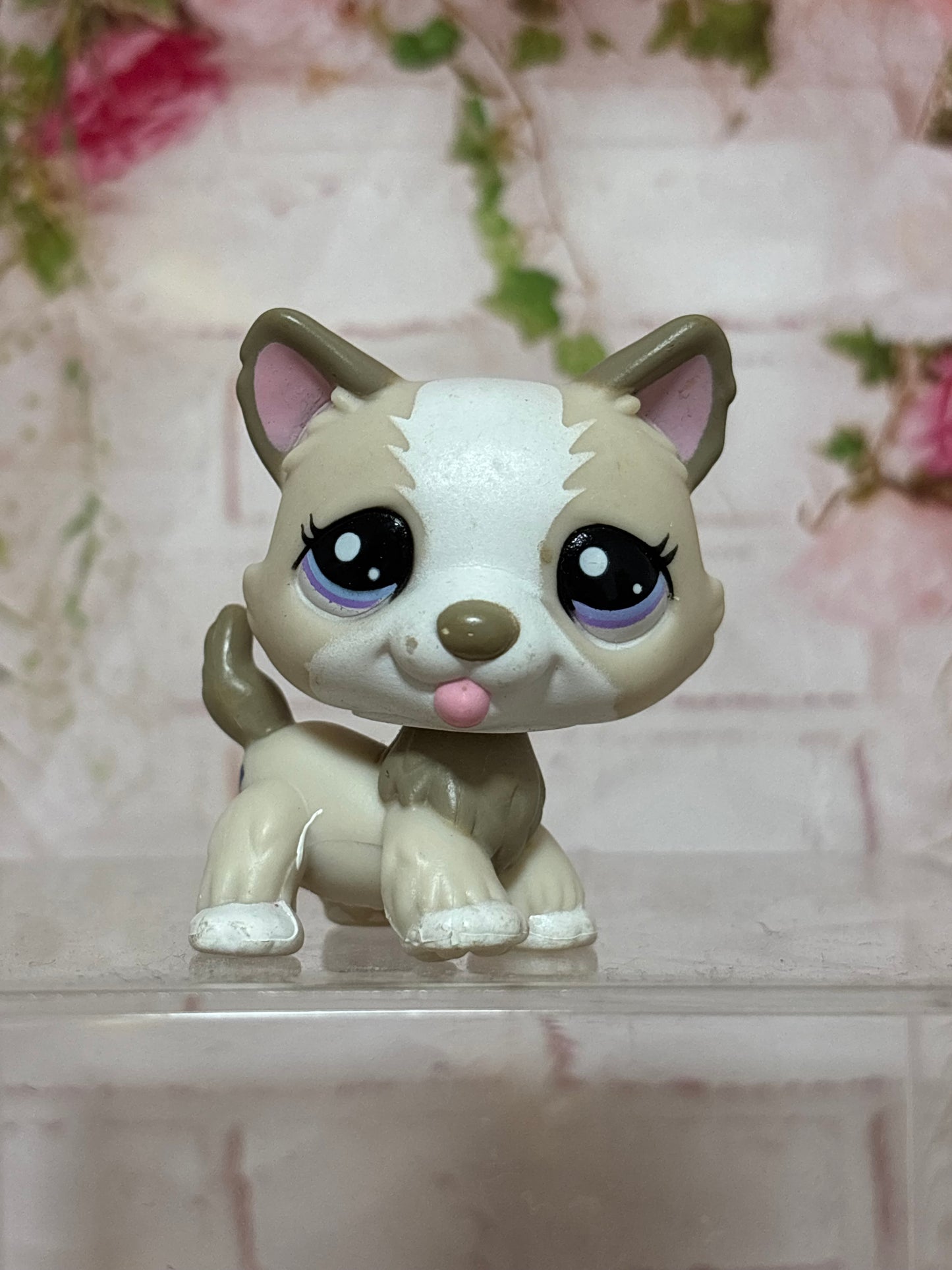 LPS Husky
