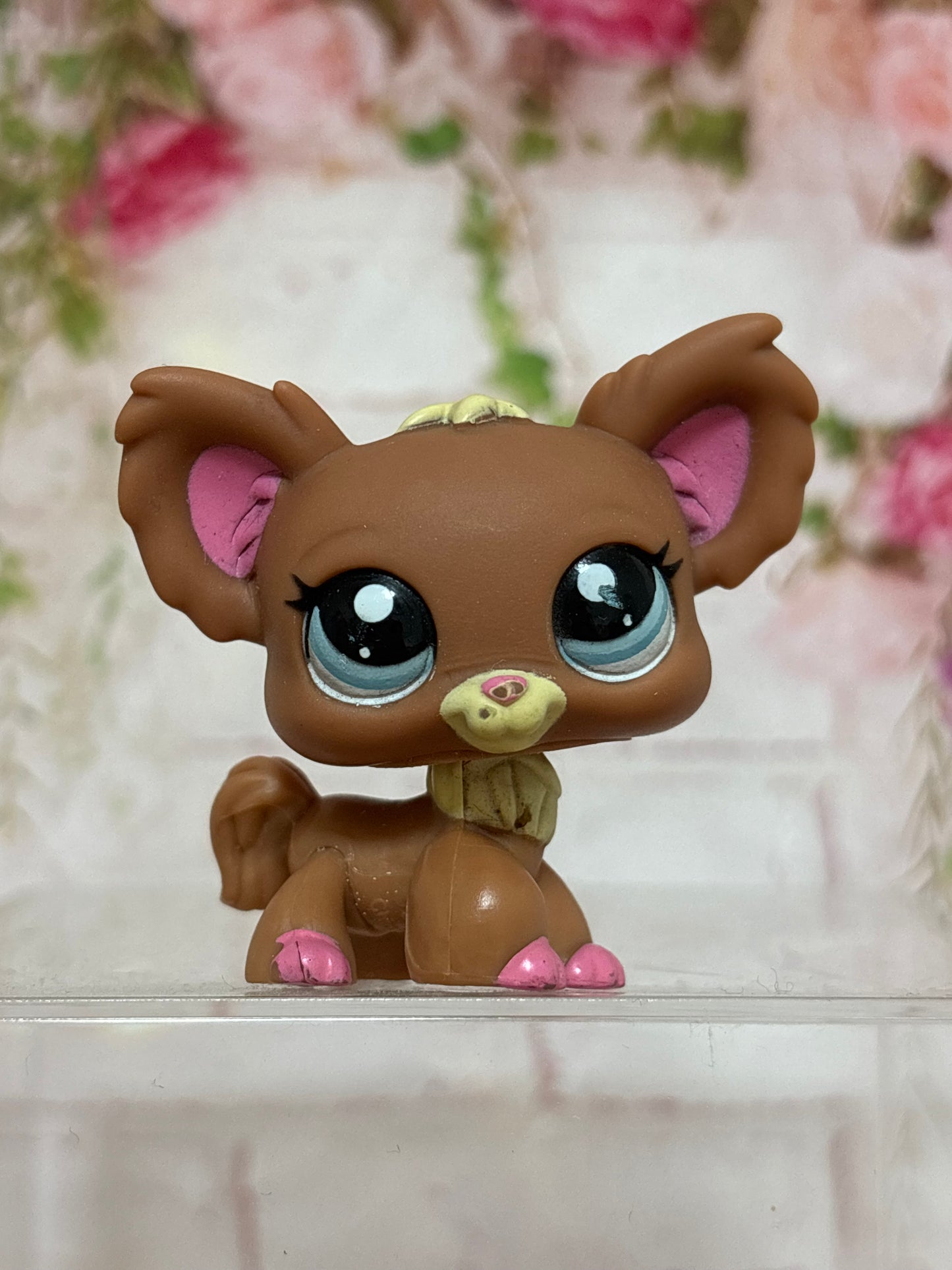 LPS Chihuahua