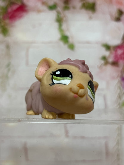 LPS Guinea Pig