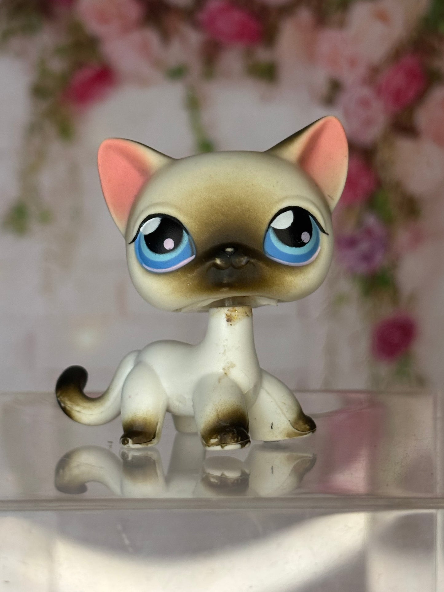 LPS Shorthair Cat #5
