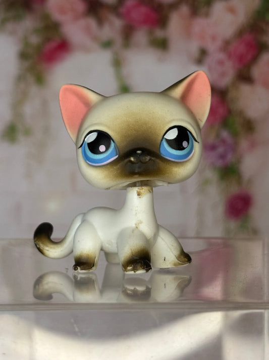 LPS Shorthair Cat #5