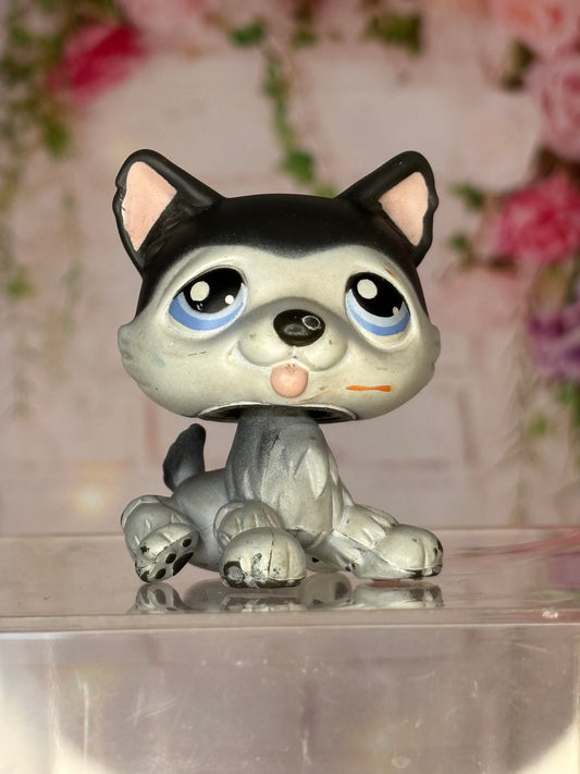 LPS Husky #210