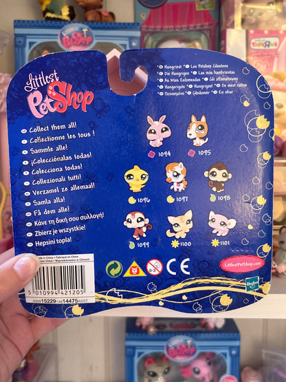 LPS Walmart Exclusive Horse and Chick NIB