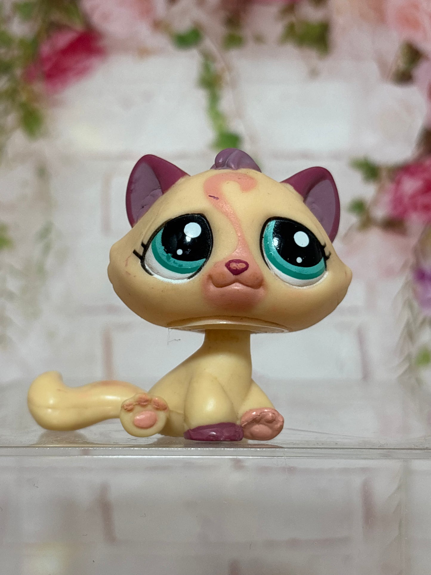 LPS Rare Bon Bon Cat