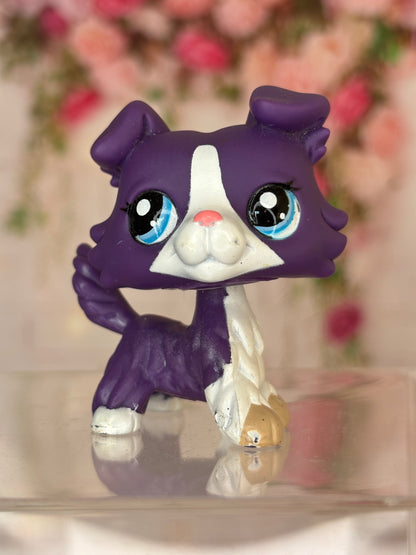 LPS Collie #1676