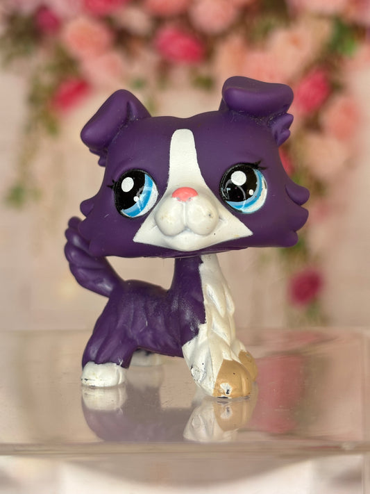 LPS Collie #1676