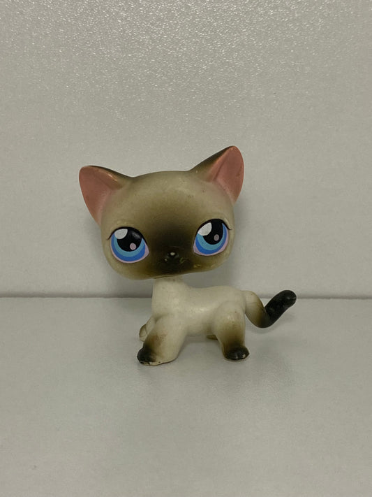 LPS Siamese Shorthair Cat