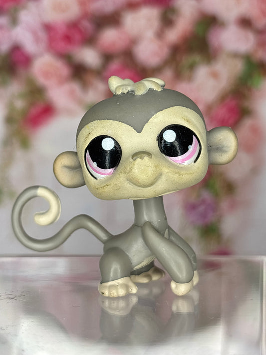 LPS Rare Monkey
