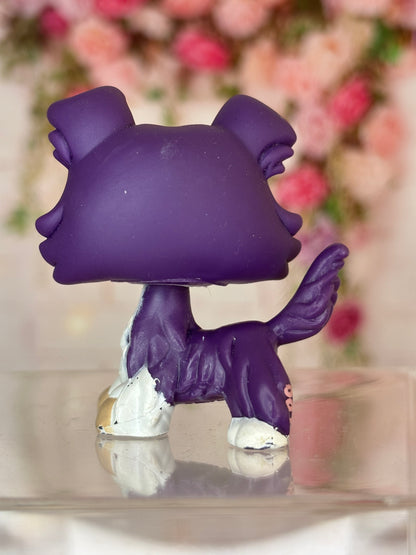 LPS Collie #1676