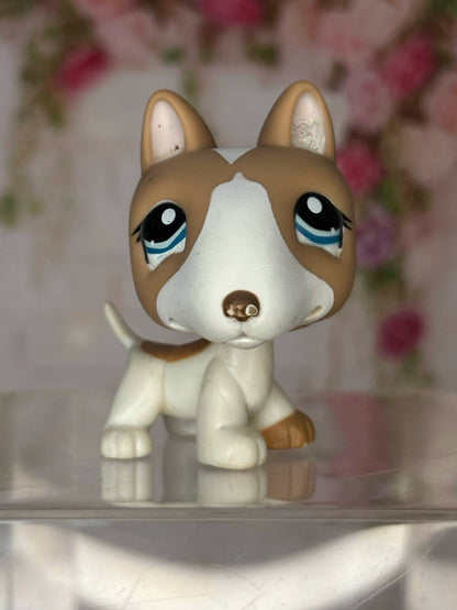 LPS Bull Terrier #1095