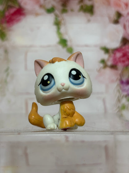 LPS Kitten