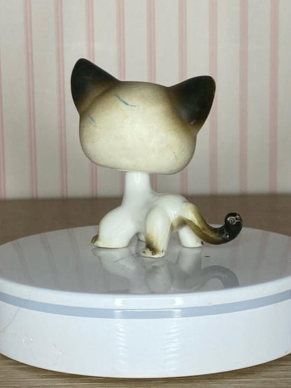 LPS Siamese Catt