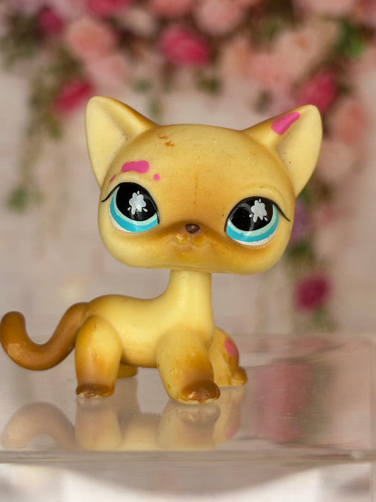 LPS Shorthair Cat #816