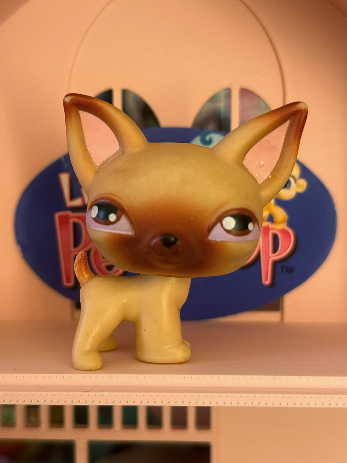 LPS Chihuahua #1