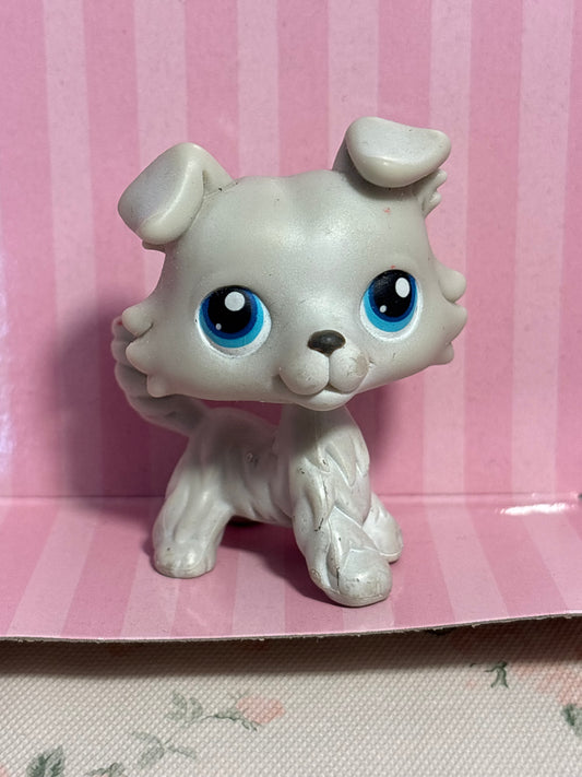 LPS Collie #263