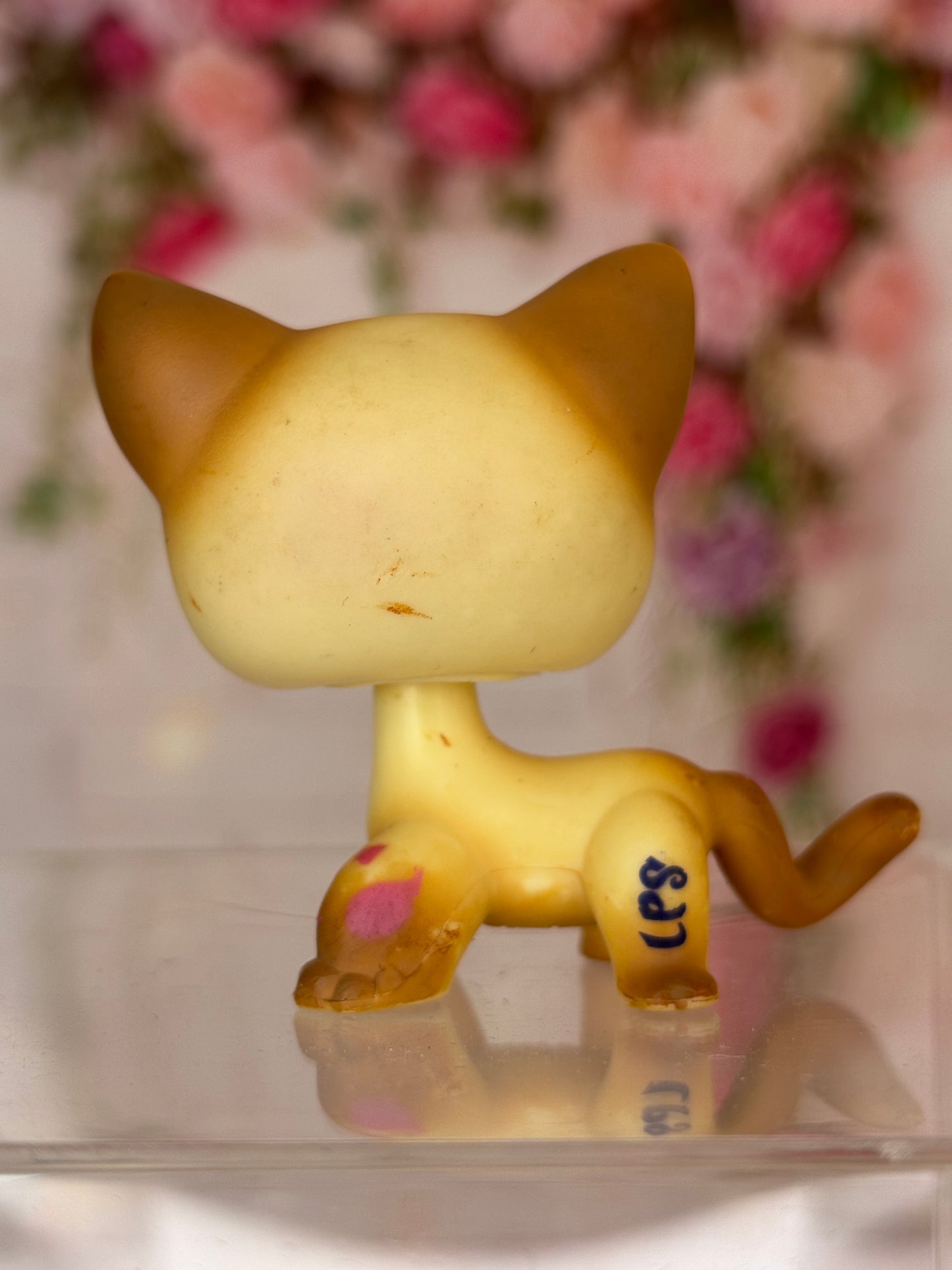 LPS Shorthair Cat #816