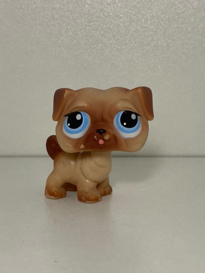 LPS Pug