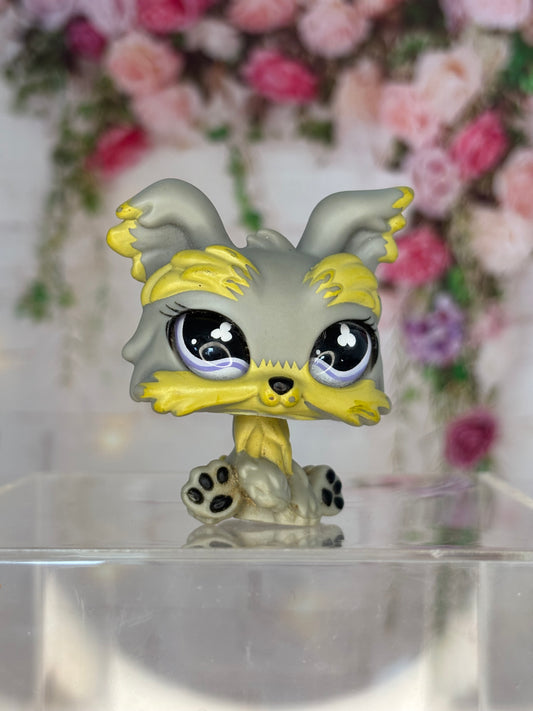 LPS Yorkshire #883