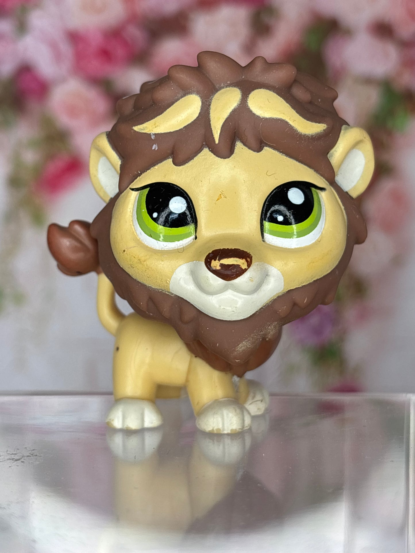 LPS Lion