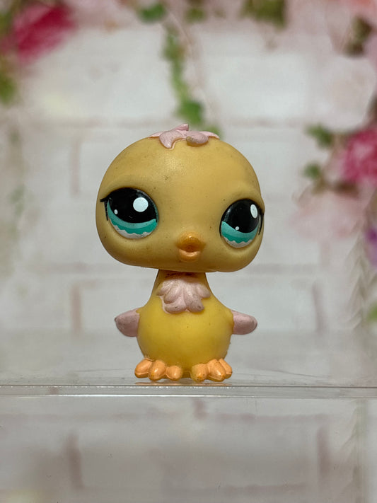 LPS Chick