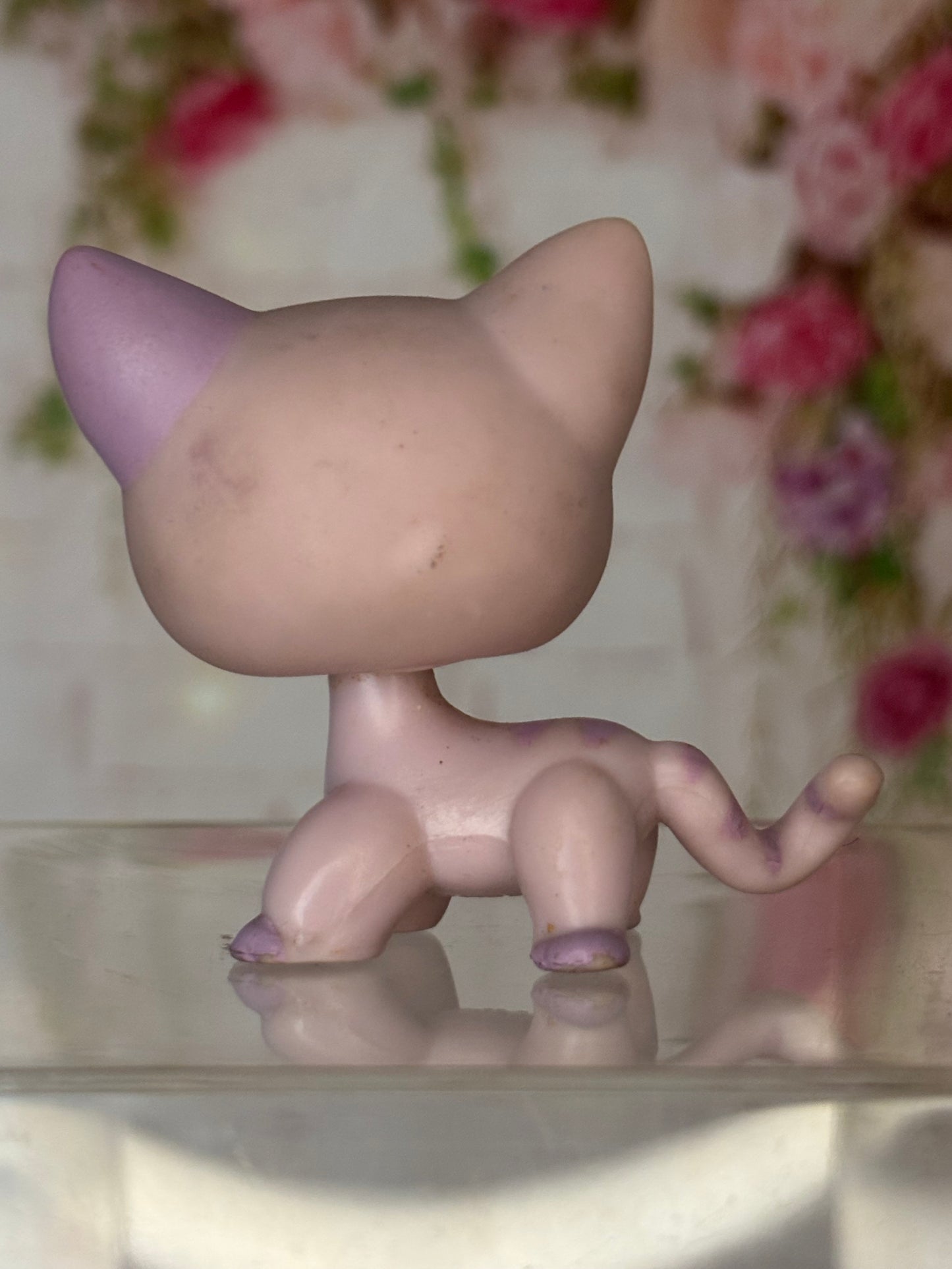 LPS Shorthair Cat #933