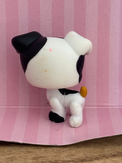 LPS Jack Russel #803
