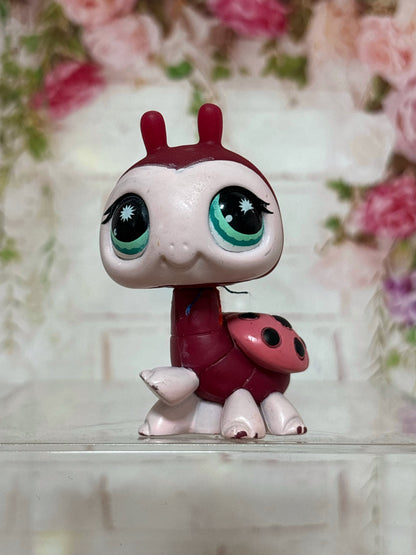 LPS Ladybug