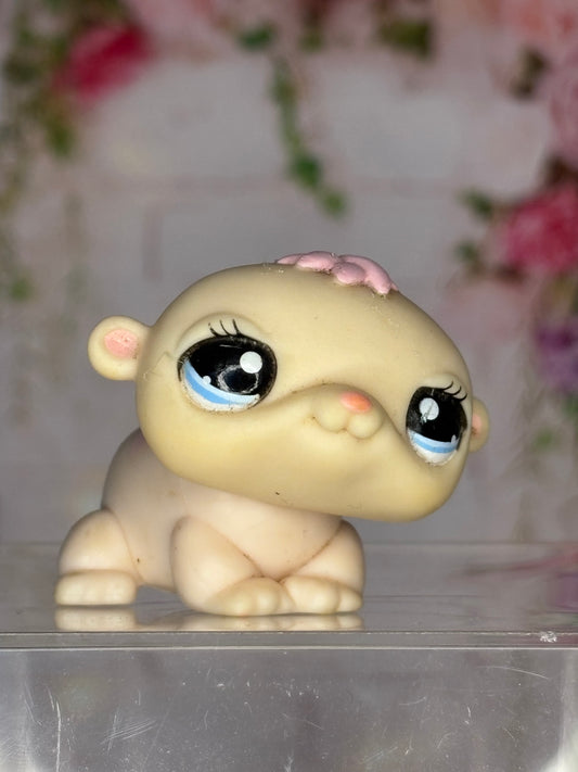 LPS Guinea Pig #1057