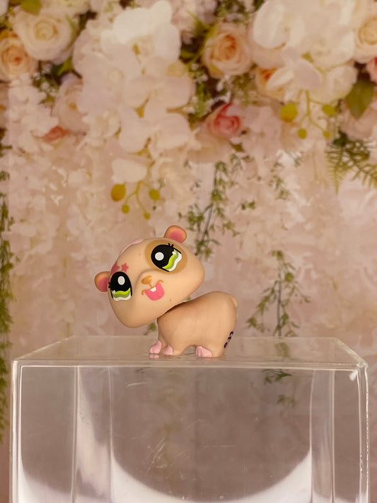 LPS Hamster #1341