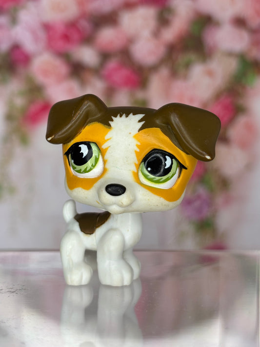 LPS Jack Russel