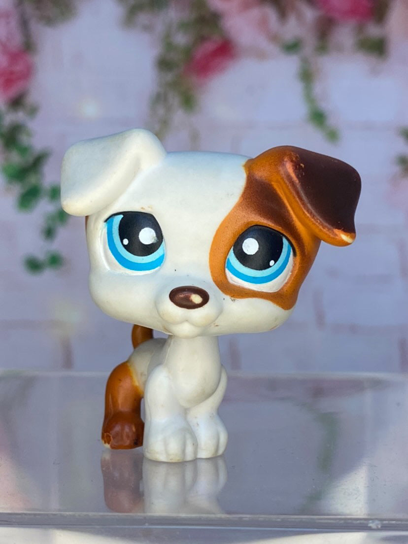 LPS Jack Russel #151