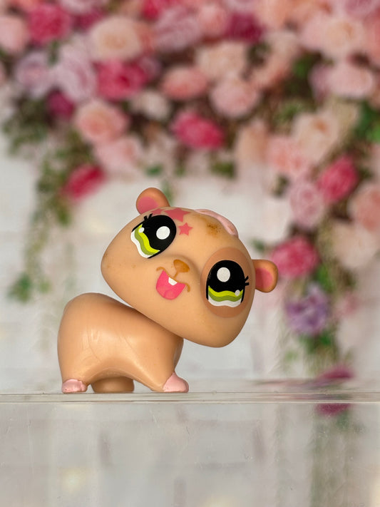 LPS Hamster
