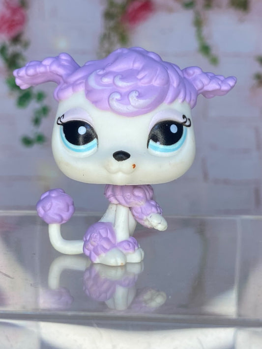 LPS Poodle #1862