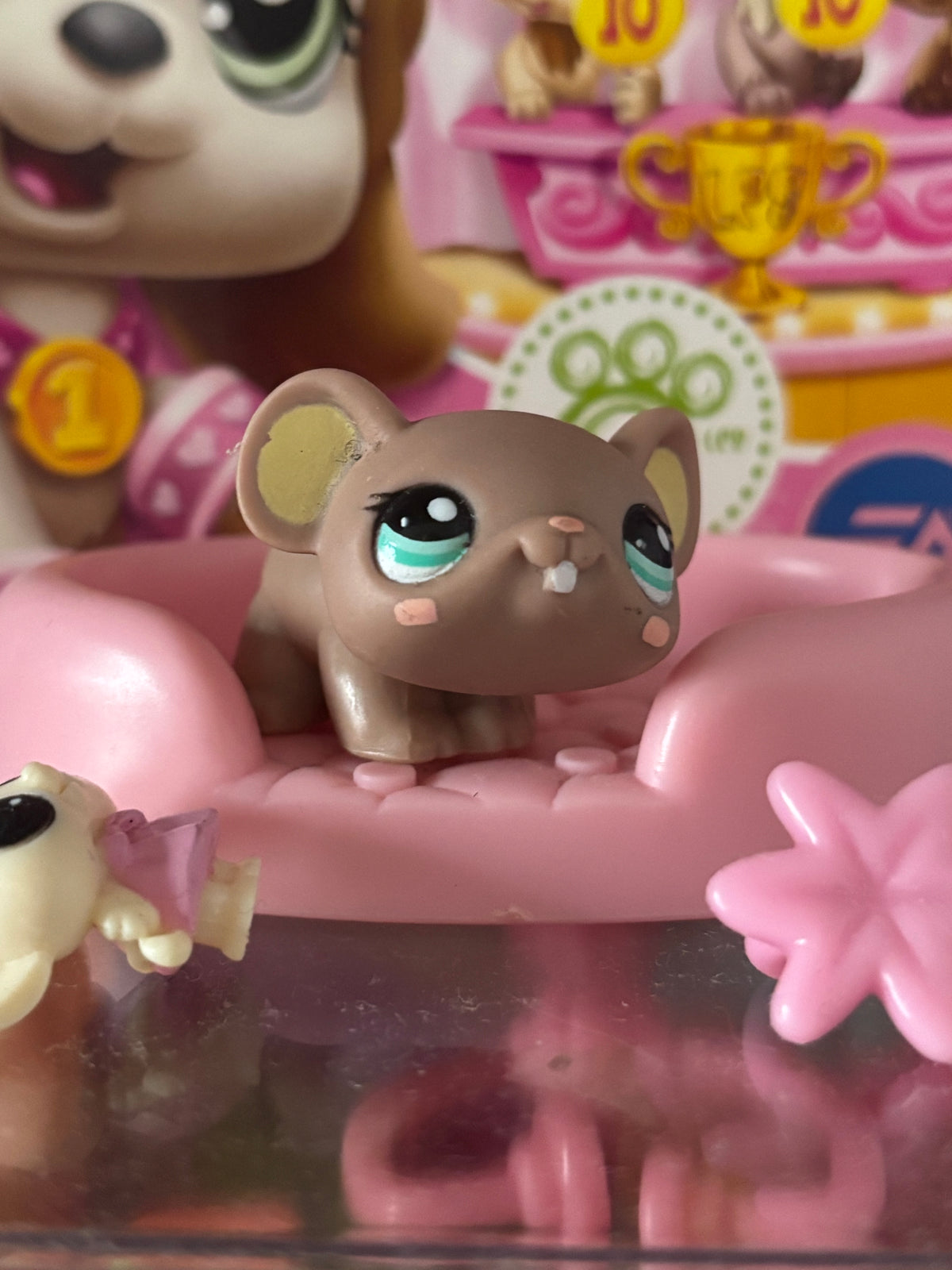 LPS Mouse #1889