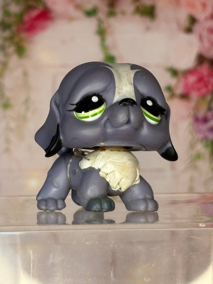 LPS Saint Bernard #1133