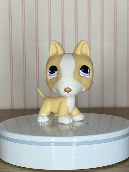 LPS Bull Terrier #860