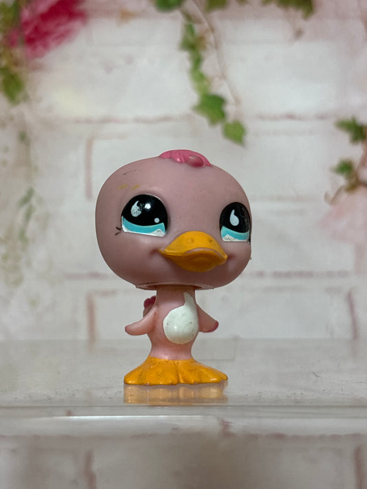 LPS Duck