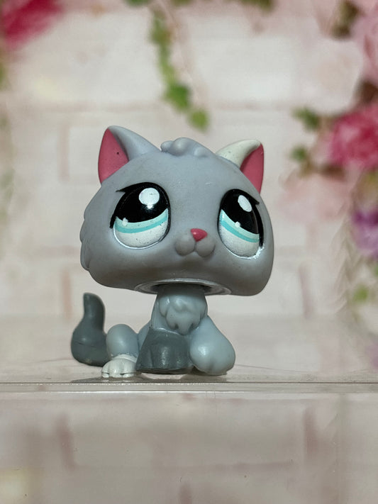 LPS Rare Kitten