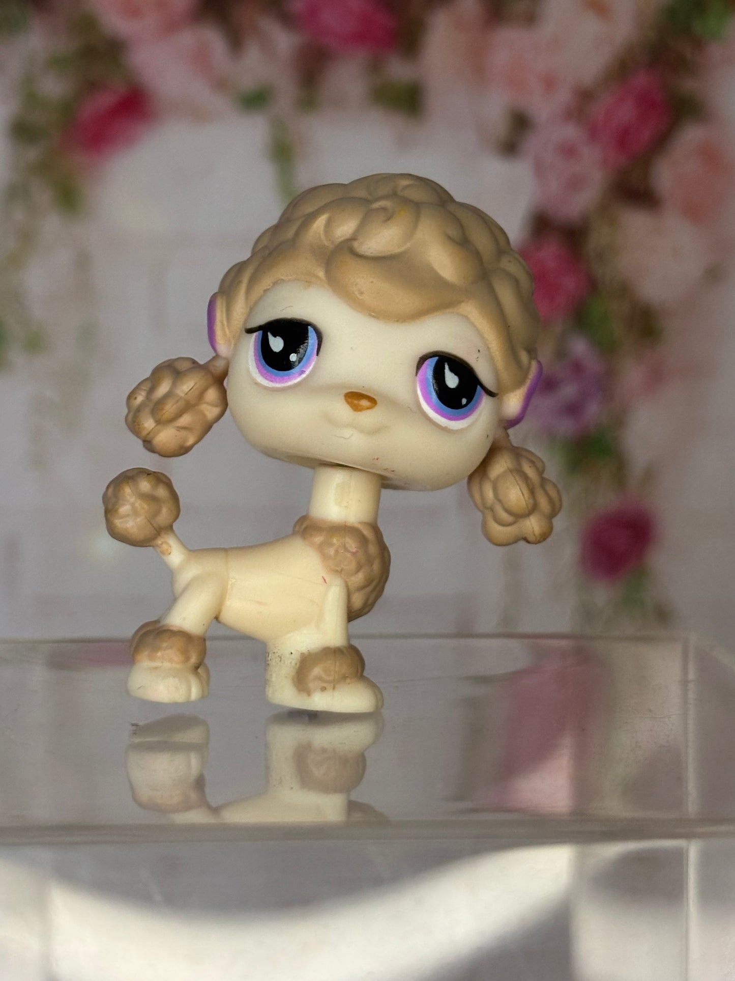LPS Poodle #736
