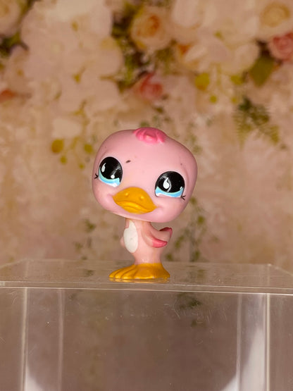 LPS Duck #825