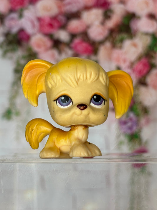 LPS Old Cocker Spaniel #291
