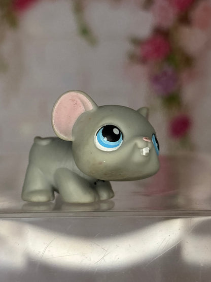 LPS Mouse