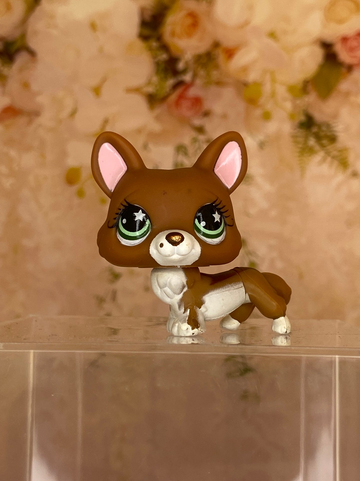 LPS Corgi #897